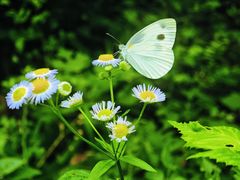 -潜山国家森林公园