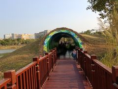 -福田红树林生态公园
