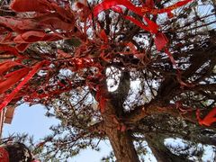 -终南山南五台景区