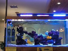 -劳顶笨咖啡(敦化店)