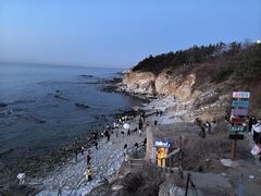 -养马岛旅游度假区