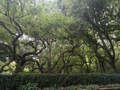 -普陀山风景名胜区-法雨禅寺