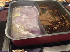 -新辣道鱼火锅(领展购物广场·中关村店)