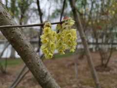 -白塘生态植物园