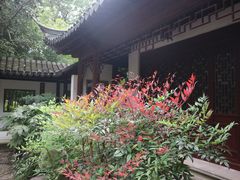 -秋霞圃