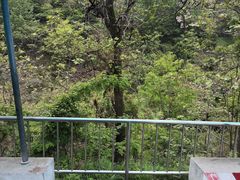 -少华山国家森林公园