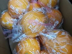 -江杨农产品批发市场