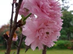 iphone_upload_pic-江滨公园