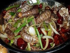 麻辣虾爬子-辣盆盆麻辣小龙虾(哈尔滨总店)