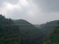 -芦沟竹海