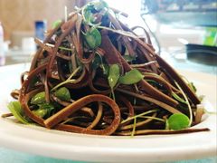 香椿苗黑豆腐丝-金杏·粘卷子 烤鸭 农家菜