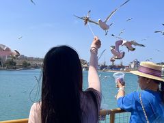 -海驴岛(荣成市)