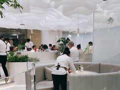 -大树餐厅(朝阳大悦城店)