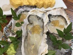 -KITON喜豚(清晖园店)