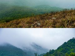 -鹿嘴山庄
