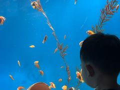 -海合安成都极地海洋公园