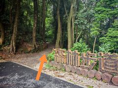 -广州市帽峰山景区