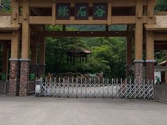 -本溪汤沟绿石谷森林公园