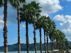 -东钱湖旅游度假区