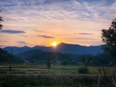 -福建土楼（华安）旅游区•大地土楼群