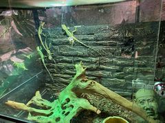 -zoonana室内动物园(东方福来德店)