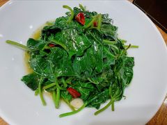 炝炒红薯叶-天和晟新京菜.水煮鱼.湘土菜(国展店)