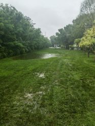 -鸿禧国际高尔夫俱乐部婚宴·草坪婚礼·宴会厅