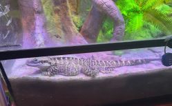 -酷嗒动物文化乐园(cutezoo西溪乐天城店)