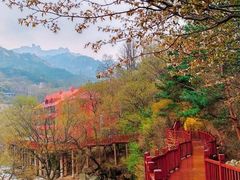 -崂山九水游览区