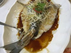 清蒸银雪鱼-渔民新村(番禺总店)