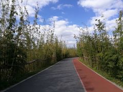 -上海长兴岛郊野公园