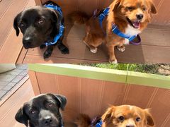 -小意思咖啡店(草桥店)