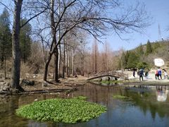 -白水寺森林公园