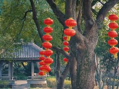 -无锡梅园公园