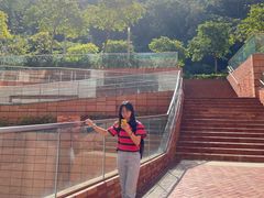-香港大学