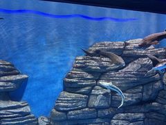 -石家庄极地海洋世界