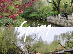 -趵突泉景区