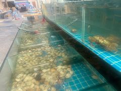 -佰园全日西餐厅-厦门佰翔软件园酒店