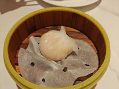 -东方早茶 海鲜•青岛菜(国信体育中心店)