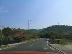 -美的鹭湖森林度假区