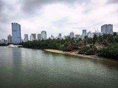-万绿园