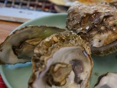高压锅清蒸海蛎子-蚝英雄鲜蚝自助专门店(长楹天街直营店)
