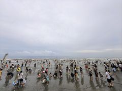 -江山半岛白浪滩景区
