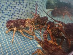 -益健名厨海鲜城(夏湾店)