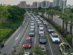 -宝安西湾红树林湿地公园