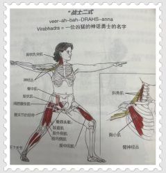 -炼炼有意思·瑜伽·普拉提