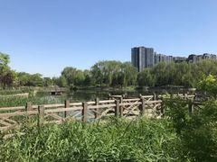 -望湖公园
