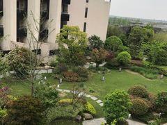 -上海崇明金茂凯悦酒店