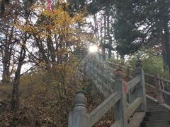 -塔云山