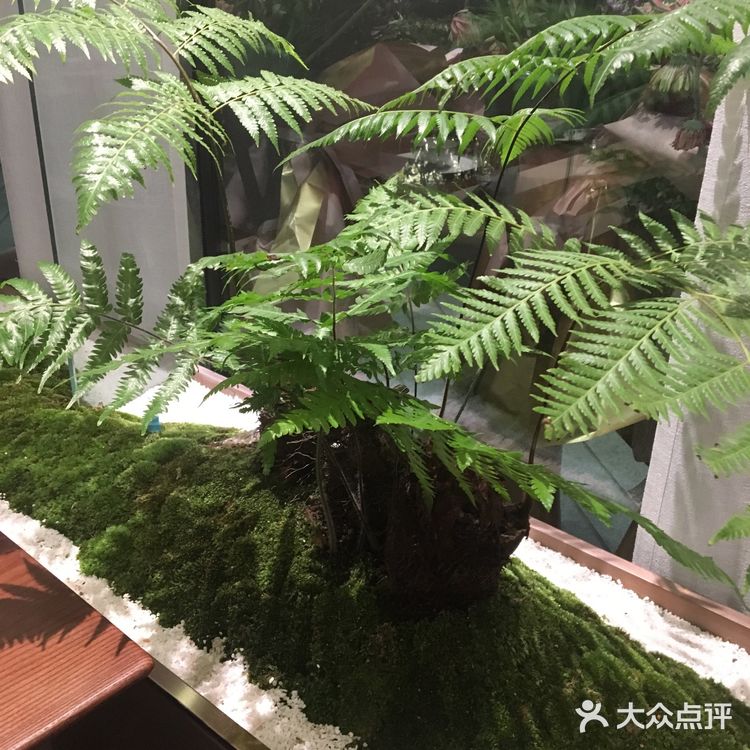 太疯狂点赞：抹茶奶黄酥，实在太好吃了